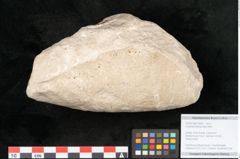 Foto (Objekt + Etikett) von Credneria denticulata Zenk. (NHMW-GEO-2024-0188-10599)
